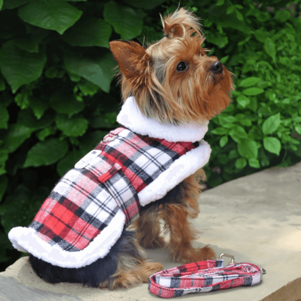 Yorkshire Terrier models Sherpa-lined Dog Harness Coat in Red and White Plaid