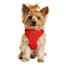 Load image into Gallery viewer, Yorkie models Wrap and Snap Choke Free Dog Harness in Flame Red
