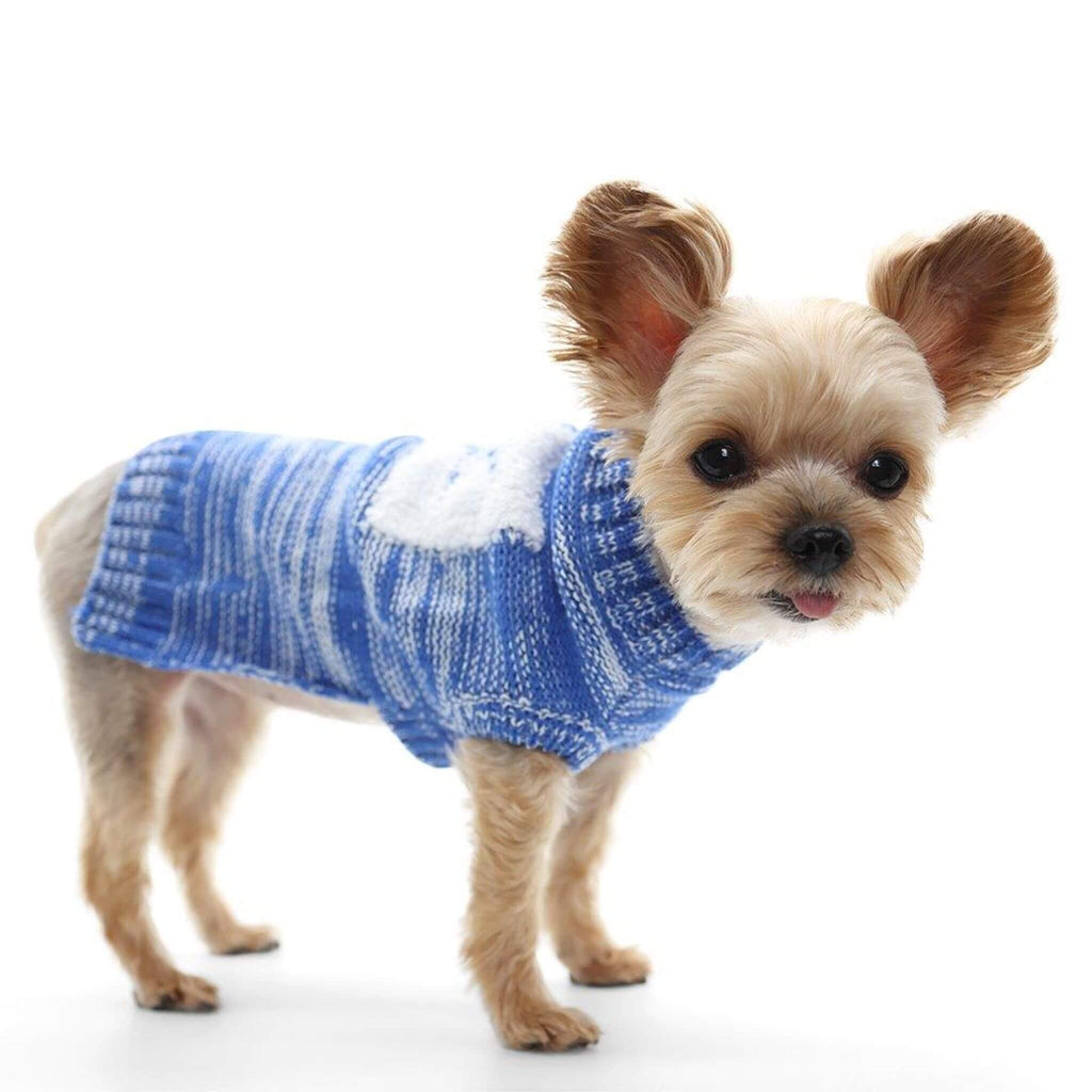 Small dog wearing a blue sweater on a white background