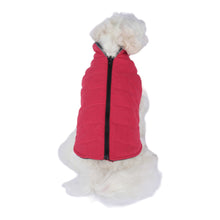 Load image into Gallery viewer, Zippered closure on the back of the Cheshire Modern Step-In Dog Coat
