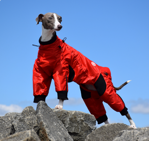 Classy Dog Suit by Zippy Dynamics™ - UKUSCAdoggie