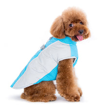 Cargar imagen en el visor de la galería, Dog Modelling the Mountain Hiker Coat by DOGOⓇ Pet Fashions
