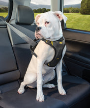 Load image into Gallery viewer, seat-belt-position-safe-dog-car-harness
