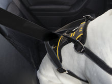 Load image into Gallery viewer, impact-dog-car-harness-attached-to-seat-belt
