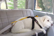 Load image into Gallery viewer, Dog lying down wearing the Roadie Canine Vehicle Safety Harness by Ruff Rider - UKUSCAdoggie
