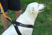 Load image into Gallery viewer, Dog out of car wearing the Roadie Canine Vehicle Safety Harness by Ruff Rider - UKUSCAdoggie
