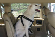 Cargar imagen en el visor de la galería, Roadie Canine Vehicle Safety Harness by Ruff Rider - UKUSCAdoggie
