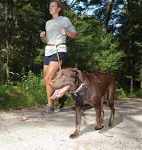 Cargar imagen en el visor de la galería, Running with Your Dog Using the Quantum Leash by Kurgo
