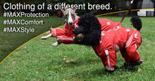 Load image into Gallery viewer, Greyhound wearing Sparky Dog Suit by Zippy Dynamics
