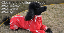 Load image into Gallery viewer, Poodle wearing Sparky Dog Suit by Zippy Dynamics
