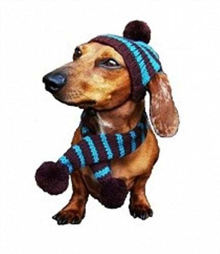 Striped Hat and Scarf by Dallas Dogs