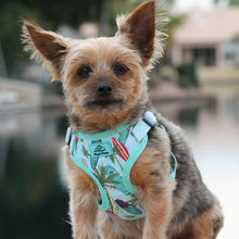 Load image into Gallery viewer, Surfboards and Palms Wrap and Snap Choke Free Dog Harness
