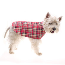 Load image into Gallery viewer, West Highland Terrier Sporting the Red Tartan Dog Raincoat by Hamish McBeth
