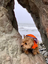 Load image into Gallery viewer, a-raincoat-that-is-perfect-for-all-canine-adventures-in-the-rain
