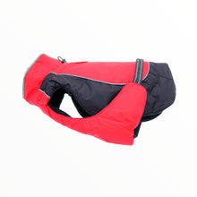 Cargar imagen en el visor de la galería, Alpine All-Weather Dog Coat in Red and Black
