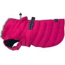 Load image into Gallery viewer, Alpine Extreme Weather Puffer Dog Coat in Peacock
