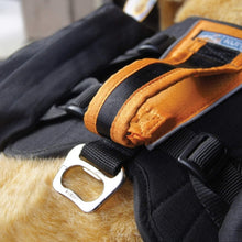 Cargar imagen en el visor de la galería, Baxter Backpack for Dogs in Black and Orange
