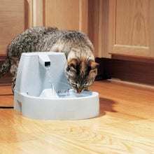 Load image into Gallery viewer, The Drinkwell Pet Fountain is also good for cats
