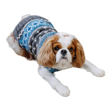 Load image into Gallery viewer, Cavalier Looks Cute in Light Blue Fair Isle Dog Sweater
