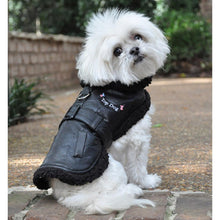 Load image into Gallery viewer, cute-dog-models-top-dog-flight-harness-coat

