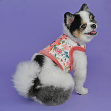 Load image into Gallery viewer, Cute doggie wears Pinkaholic Fleur Pinka Jacket Harness in Indian Pink
