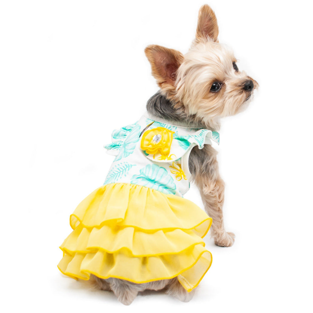 Cute puppy models the Leafy Dog Dress by DOGO Pet Fashions