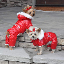 Load image into Gallery viewer, Cute Yorkies Model Ruffin It Dog Snow Suit Harness with Removable Hood

