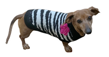 Load image into Gallery viewer, dachshund-wears-zebra-fleur-rose-dog-sweater
