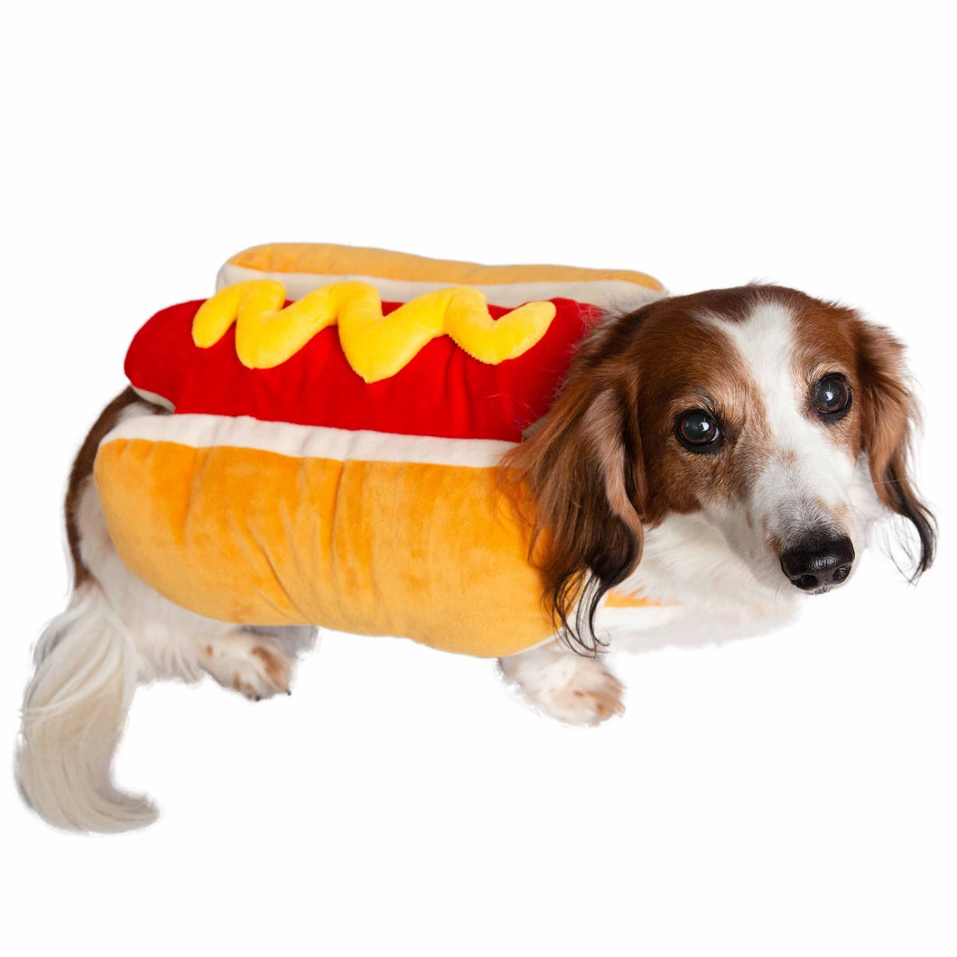 Dachshund wears Hot Dog Pet Costume