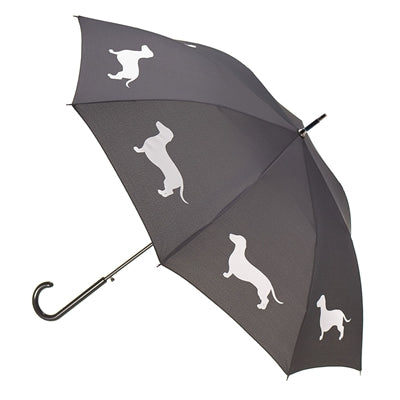 dachshund-umbrella