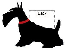 Load image into Gallery viewer, dallas-dogs-sizing-diagram
