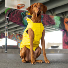 Load image into Gallery viewer, dog-looking-dapper-in-torrential-tracker-yellow
