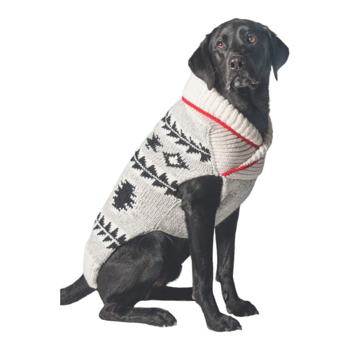 Dog is Warm and Cozy in the Jackson Dog Sweater