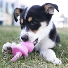 Load image into Gallery viewer, Young Dog Chews on Her KONG Puppy Binkie in Pink
