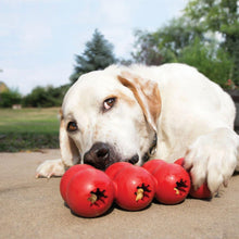 Load image into Gallery viewer, Dog chews on KONG Goodie Ribbon
