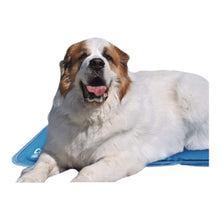 Load image into Gallery viewer, Dog cooling down with the Self-Cooling Pet Pad
