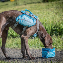 Load image into Gallery viewer, Dog drinks from a blue Zippy Portable Dog Bowl on the trail
