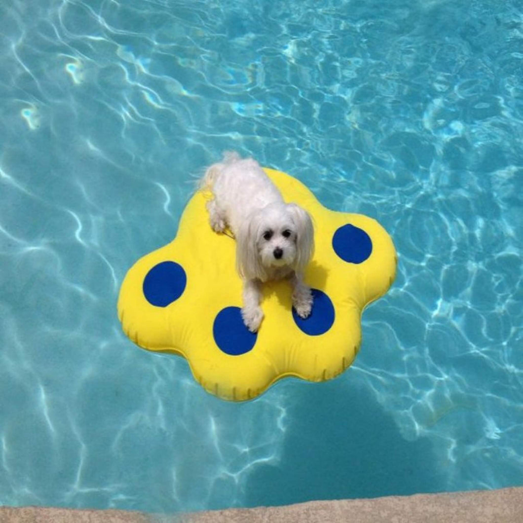 Dog floats around a pool on his Paws Aboard Doggy Lazy Dog Raft