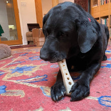 Cargar imagen en el visor de la galería, Dog gnaws on MOD Bone Ultra Durable Nylon Dog Chew Toy
