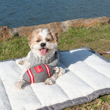 Load image into Gallery viewer, Dog is very comfortable lying on his Grey Voyager Pet Travel Mat
