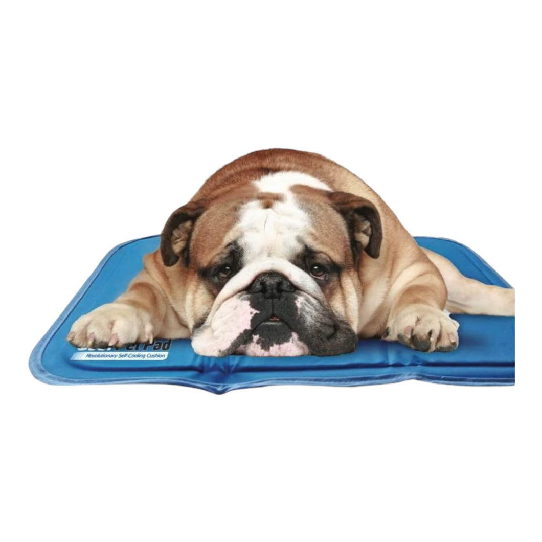 Dog keeps his cool on the revolutionary Self-Cooling Pet Pad