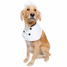 Load image into Gallery viewer, dog-looks-smart-in-chef-uniform-costume
