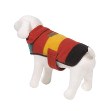 Load image into Gallery viewer, Dog Mannequin Models Mount Rainier National Park Dog Coat
