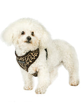 Cargar imagen en el visor de la galería, dog-models-leopard-print-dog-harness
