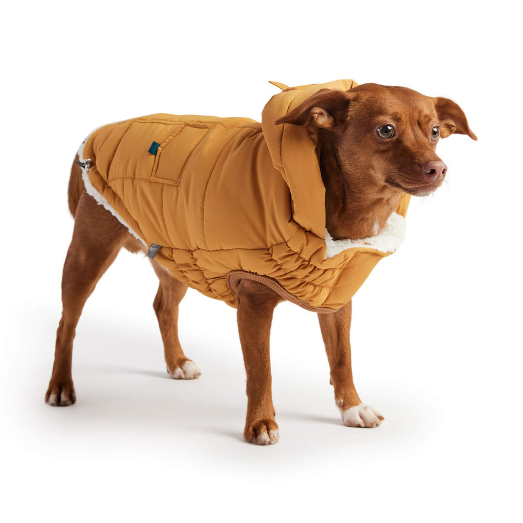 Dog Models Super Puff Parka in Yellow