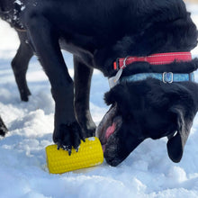 Cargar imagen en el visor de la galería, Dog plays in the snow with his Corn on the Cob Treat Dispenser and Chew Toy
