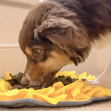 Load image into Gallery viewer, Dog Searches for Treats in His Sunflower Snuffle Feeding Mat
