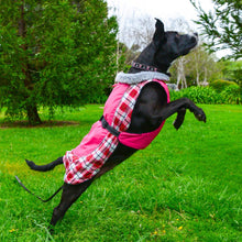 Load image into Gallery viewer, Dog shows off his new Alpine All-Weather Dog Coat in Raspberry Plaid
