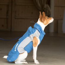 Load image into Gallery viewer, Dog sporting the Ocean Blue Glacier Bay Dog Coat
