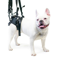 Load image into Gallery viewer, dog-supported-by-walkin-lift-rear-dog-harness
